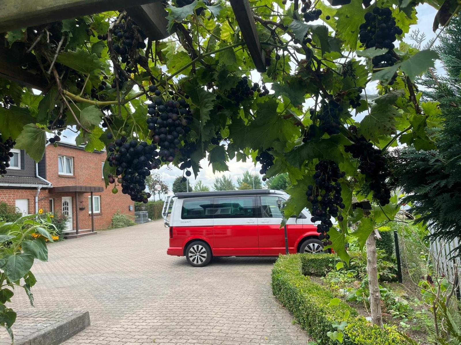 Neumuehler Hof- Ferienwohnung "Benjamin" Mit Grosser Privater Dachterasse Und Guter Anbindung In Die City Шверин Екстериор снимка